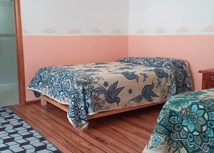 Casa Mexicana Homestay Mexico City